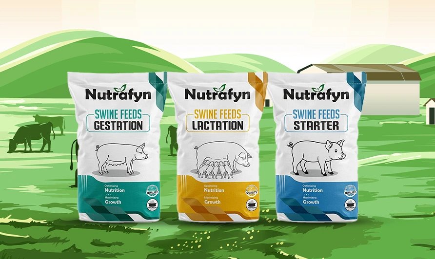 Beyond Basic Nutrition!